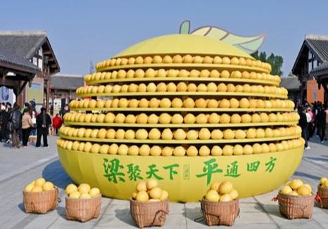有个软件叫什么柚