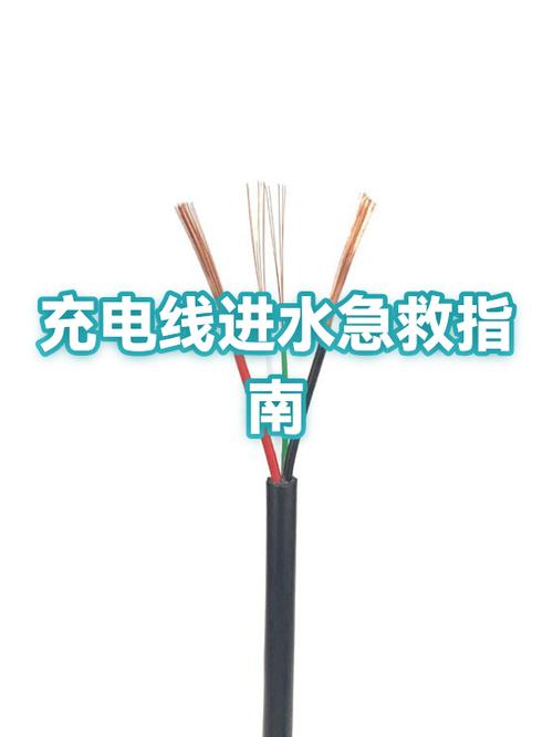 充电器不小心碰到水了怎么办