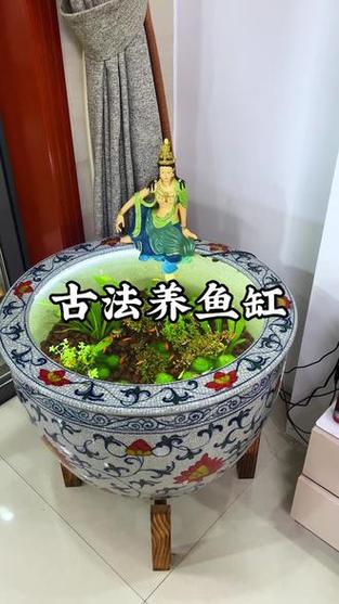 鱼缸养鱼可以不换水吗图标