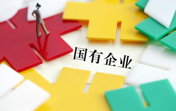 什么是国营企业