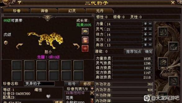 天龙八部85级能带多少金币