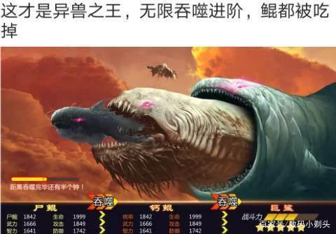 鲲吞噬进化