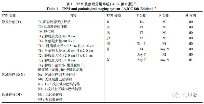 胰腺癌的分期 胰腺癌的分期