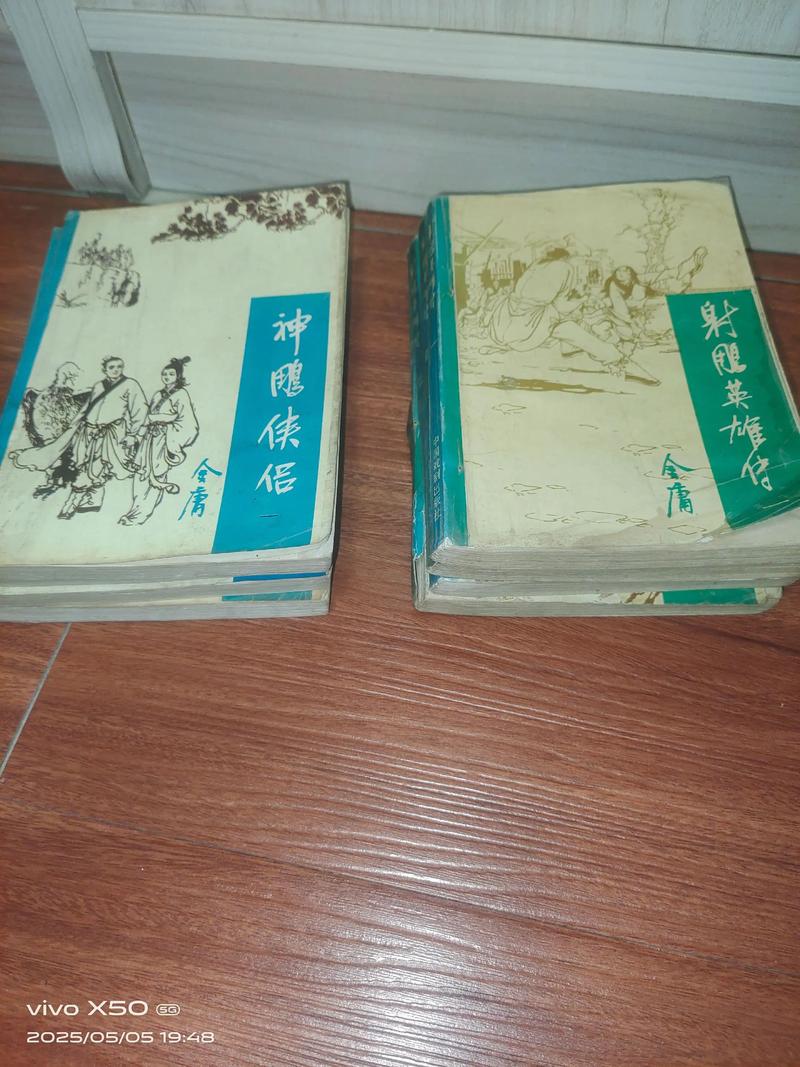 绝色神雕小说