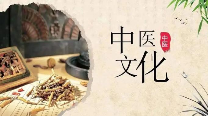 中医ai智能机器人多少钱一台