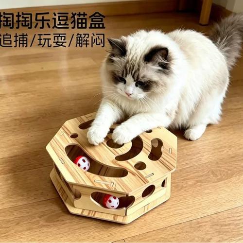猫咪盒子app官网下载