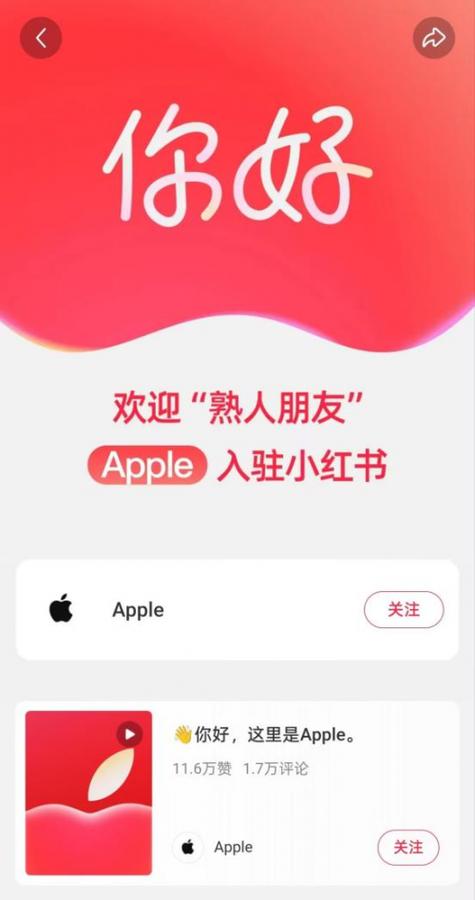 有小红书好可以登录吗