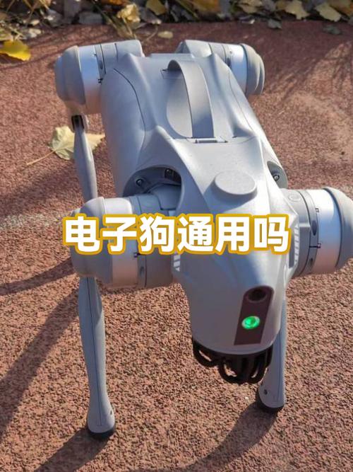 用手机扫狗狗芯片软件