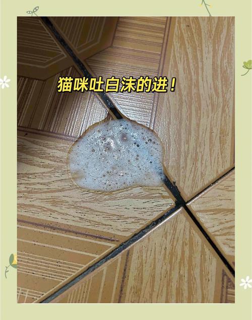 猫咪吐白泡沫要警惕了截图2