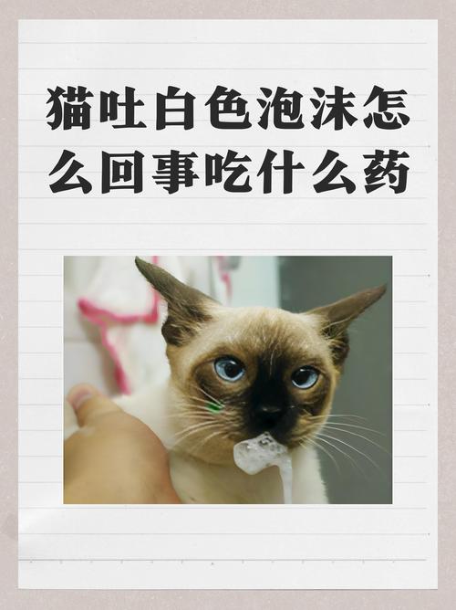 猫咪吐白泡沫要警惕了截图3