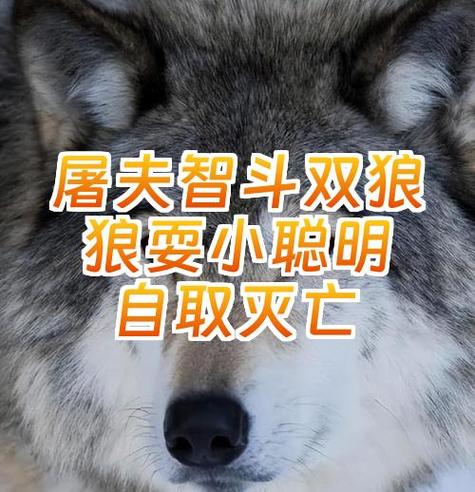 漫漫长夜怎么驱赶狼