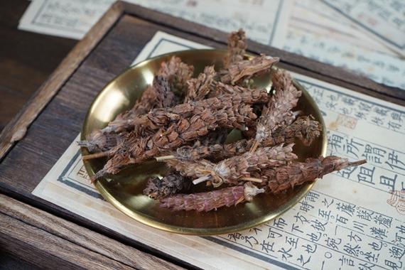 夏枯草能降血糖吗