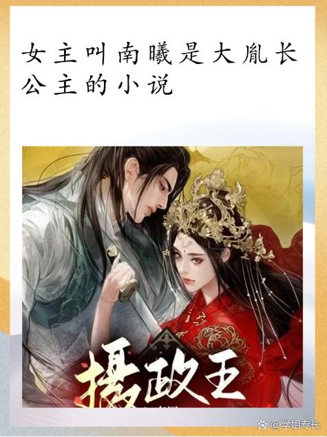 男主是摄政王,女主叫苏婉的小说