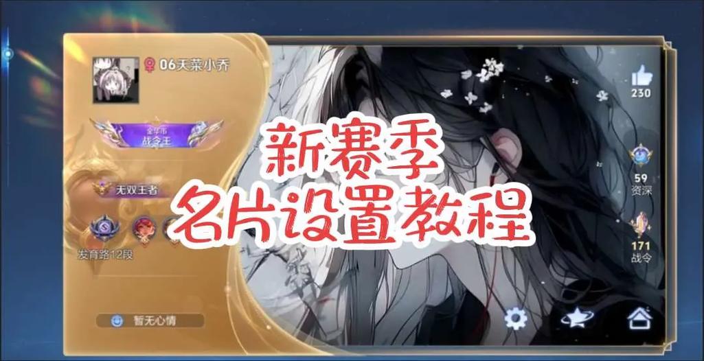 王者名片