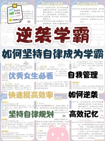 学籍学历在线验证报告查询