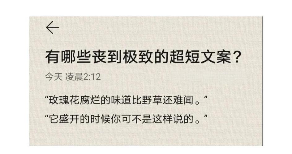 极致文案 极致文案