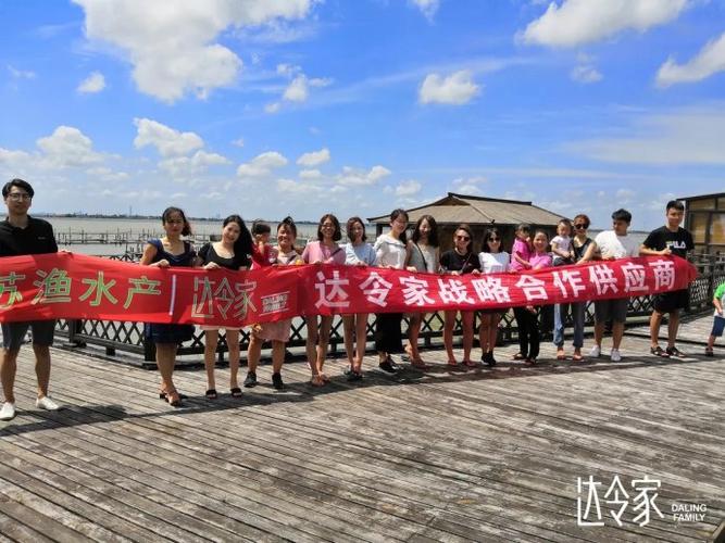 达令家是哪家公司
