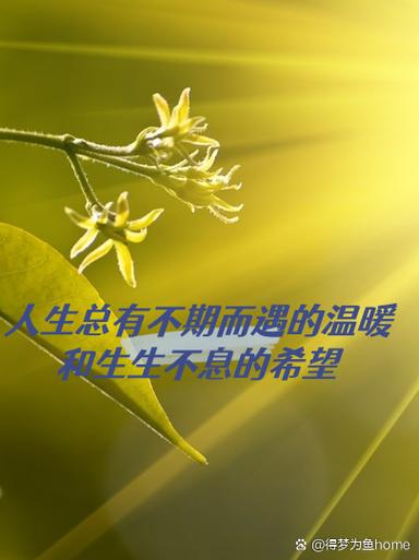 不期而遇的电影