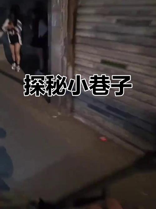 小巷子里的秘密事情截图3