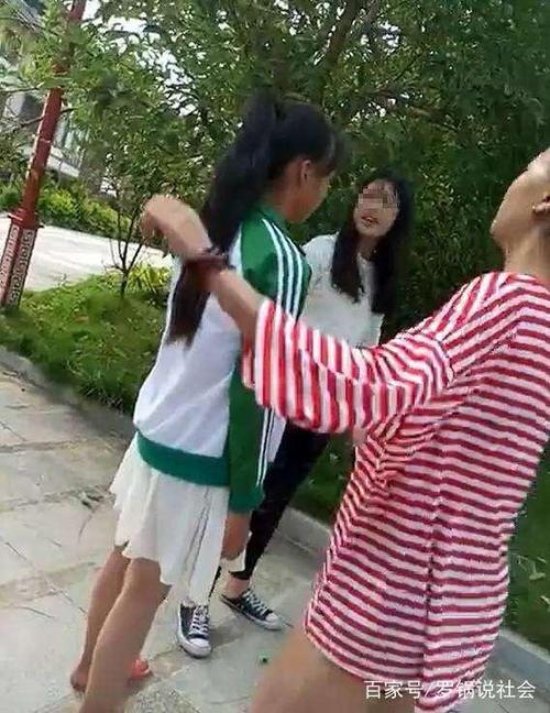 打架的美女 打架的美女