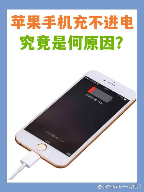苹果充电器为什么突然充不了