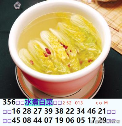 清水煮白菜txt网盘