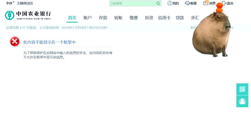 农行企业网银