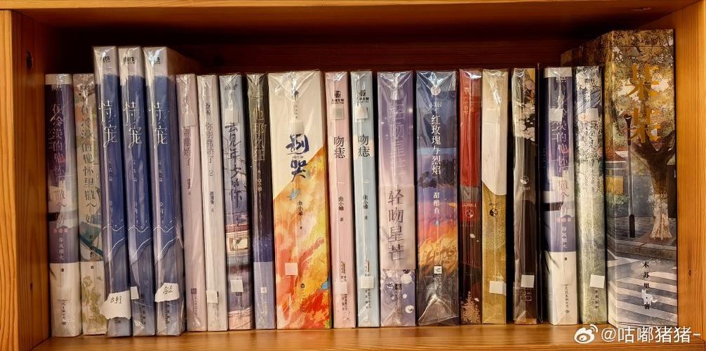 出售星辰之书的书商