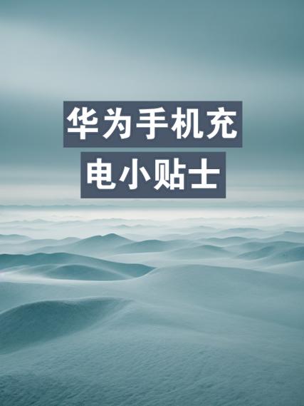 华为充电慢是什么原因造成的截图3