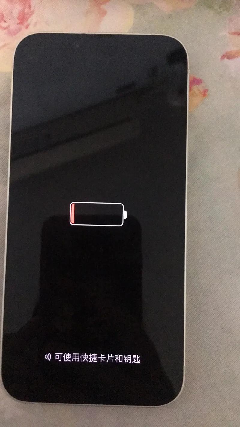 苹果手机关机充不了电截图3