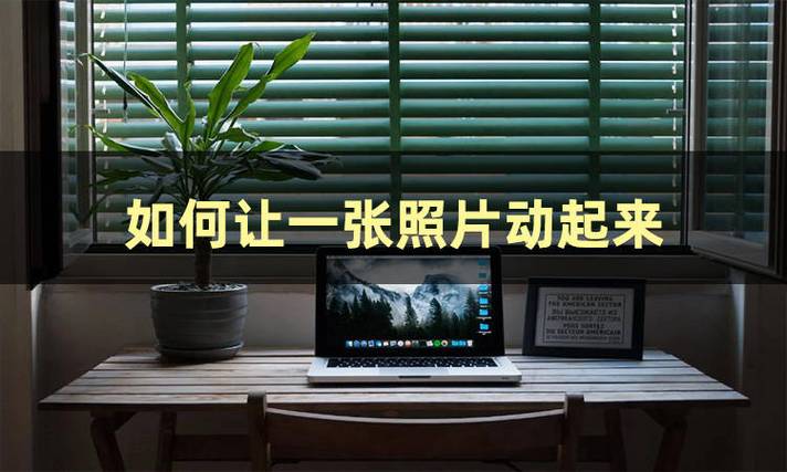 苹果手机怎么让实况照片动起来截图1