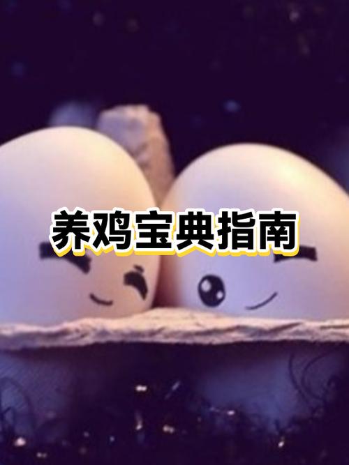 养鸡500只利润
