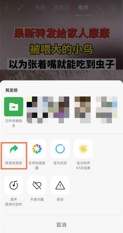 视频号如何转发别人的视频号截图2