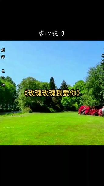 玫瑰玫瑰我爱你mv