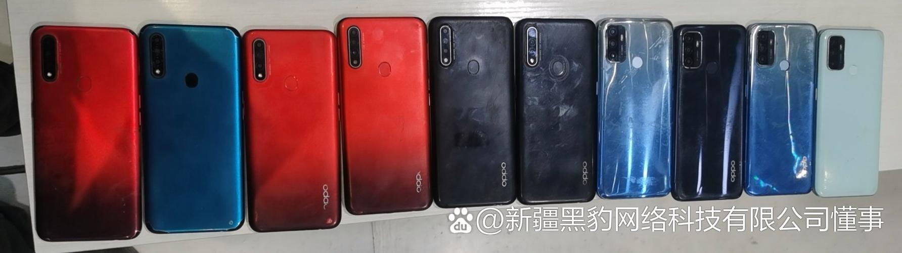 黑豹网络科技公司