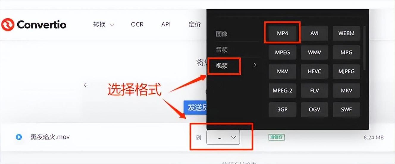 mp4视频格式转换截图2