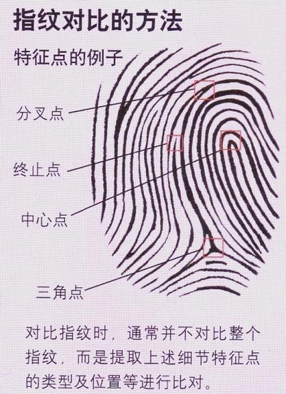 屏下指纹识别寿命