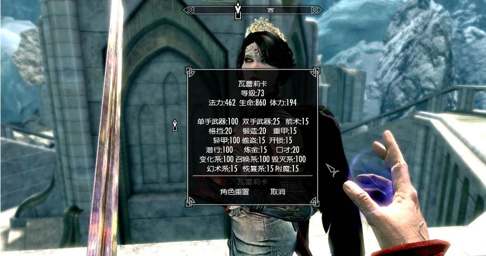 上古卷轴有时卡有时不卡截图2