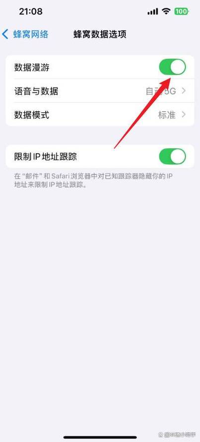 苹果手机数据漫游在哪里打开截图3