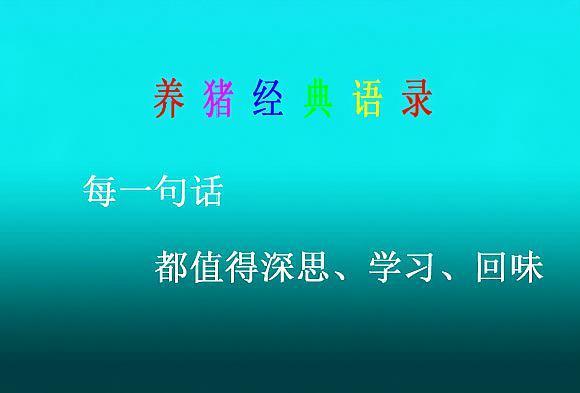 养猪经典语录