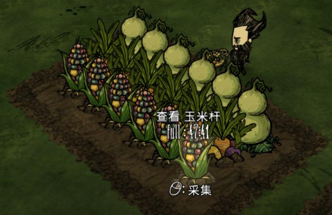 饥荒怎么种花