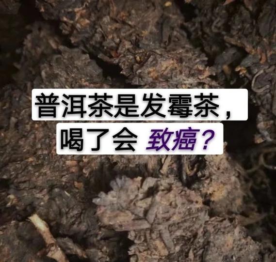 西红柿长了一点点霉能吃么