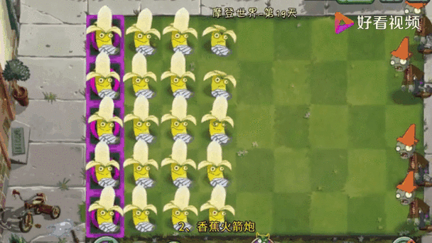 pvz中的植物大小排名截图3