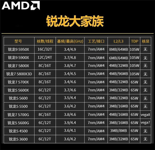 amd5000系列处理器有哪些