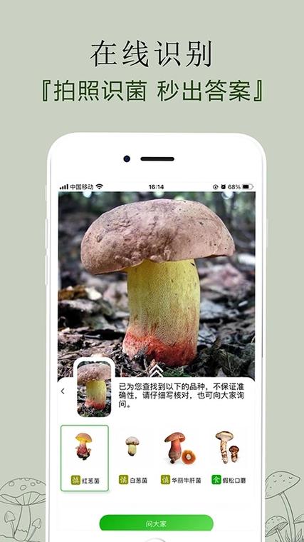 有个叫什么菌的软件