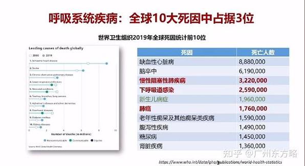全球十大病毒死亡排行榜