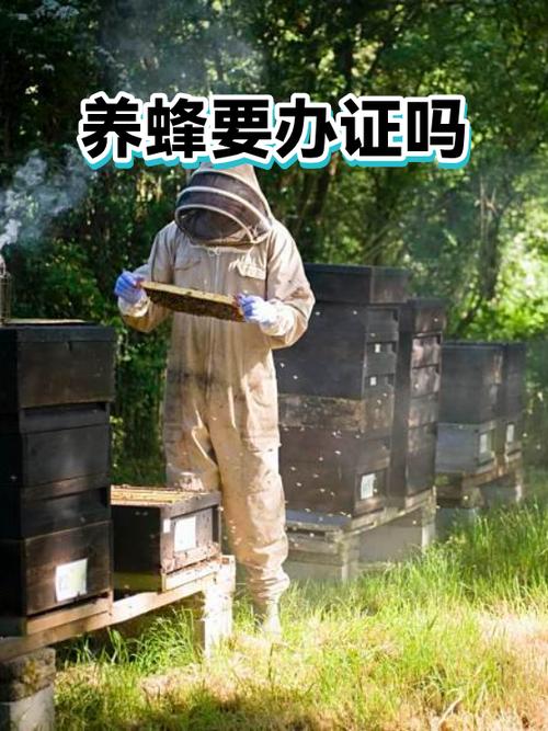 养蜂证一般人办不了 养蜂证一般人办不了