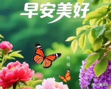 开心的句子