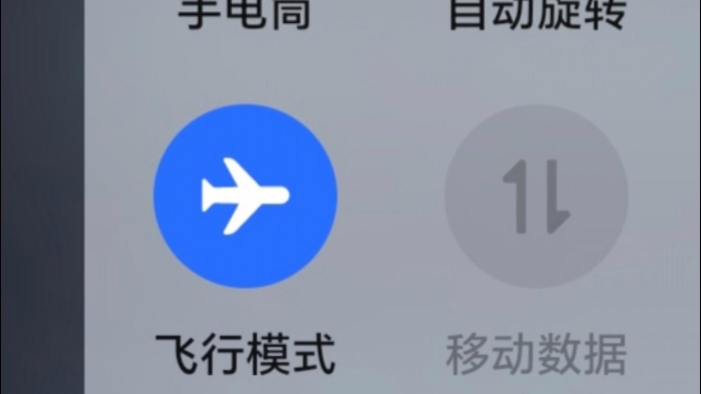 苹果一直显示飞行模式