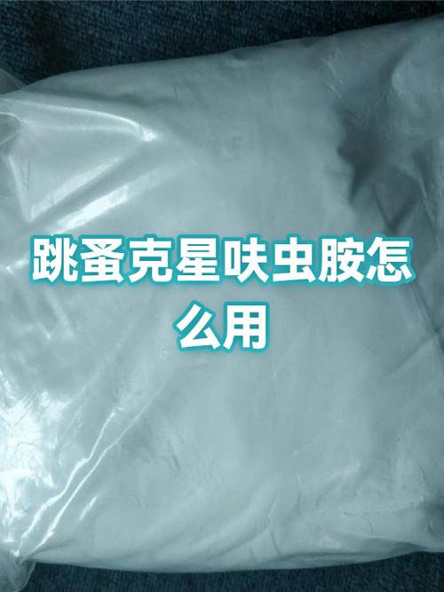 小猫咪跳蚤怎么彻底清除